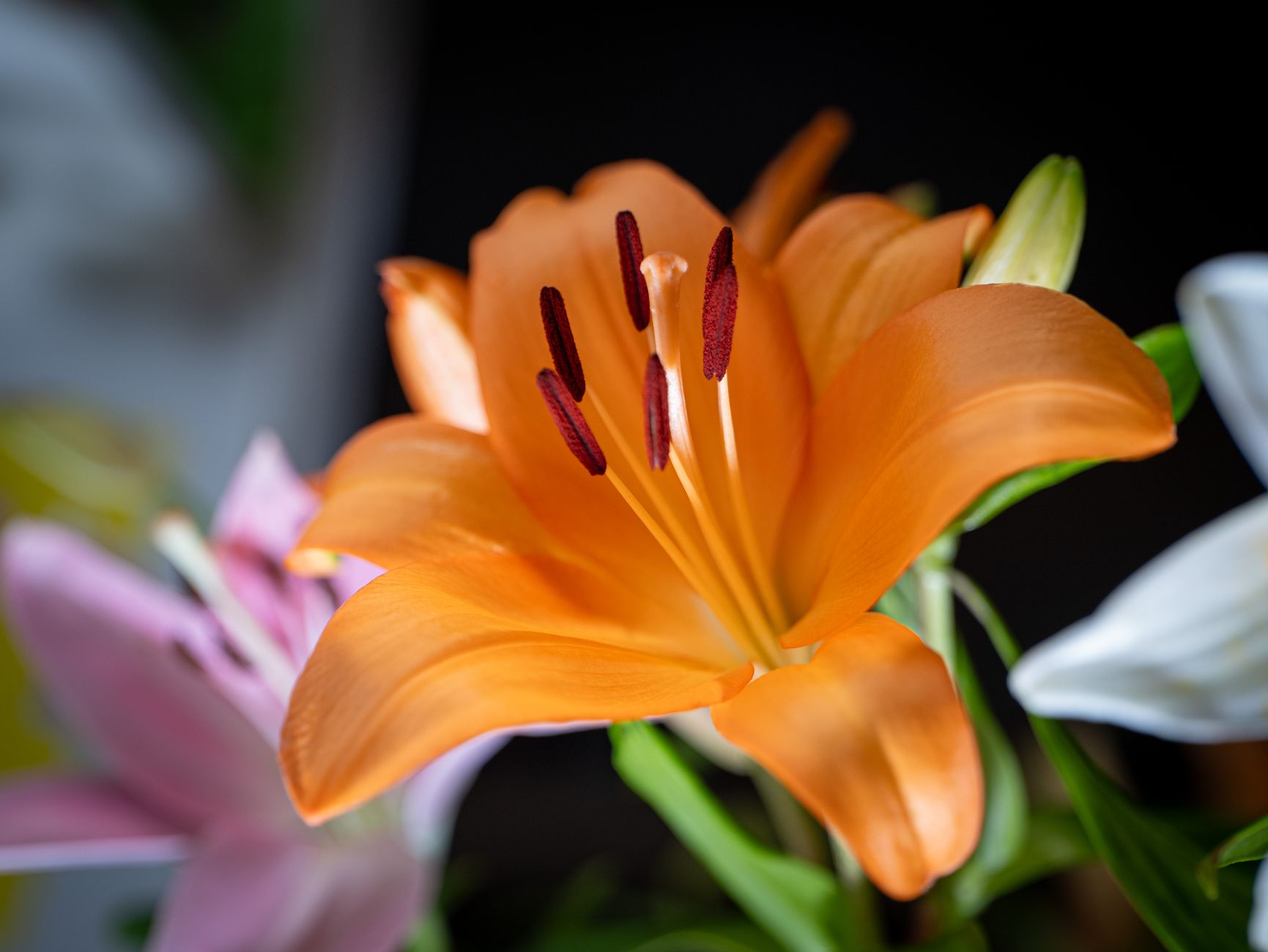 Livraison fleurs à Longjumeau
